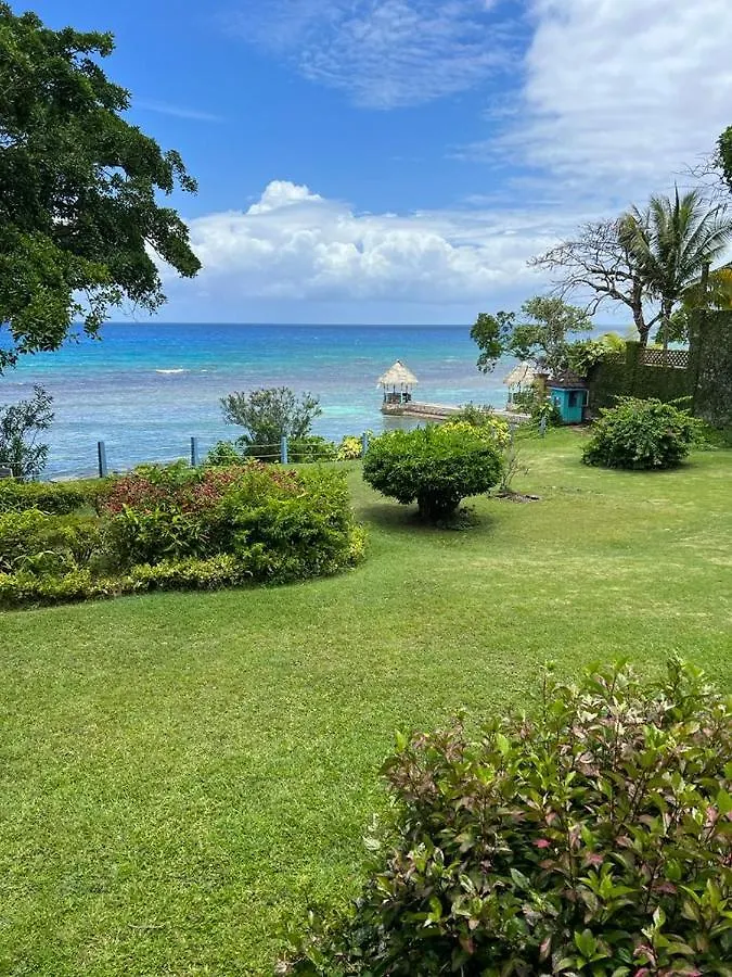 Carib Condominium Ocho Rios Apartament